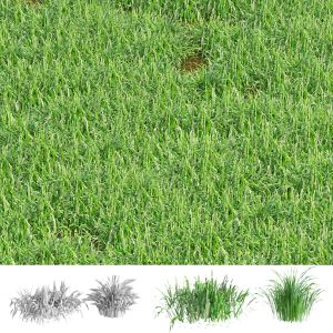 Grass Blades 3d Model