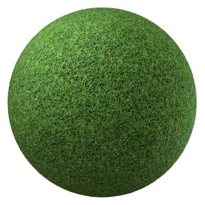 Green Grass Texture