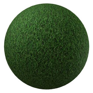 Green Grass Texture