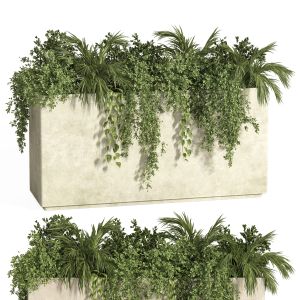 Box Of Plants-indoor Set 61