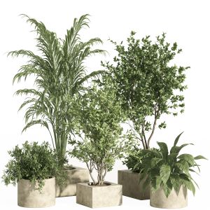 Indoor Plant Set 62-concrete Pot