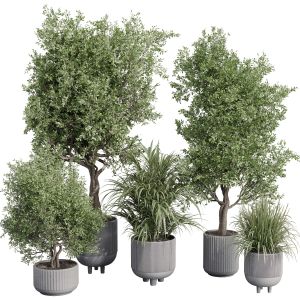 Outdoor Plant Set 180 Plant Palm Tree Grass Vase D