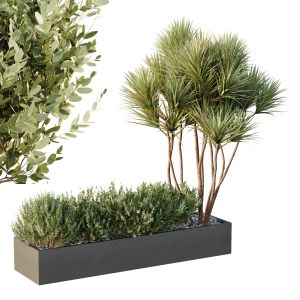 Hq Tree And Bush Garden Box Outdoor  Vol 22