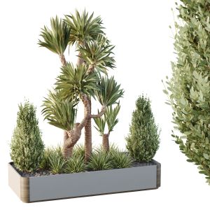 Hq Tree And Bush Garden Box Outdoor  Vol 25