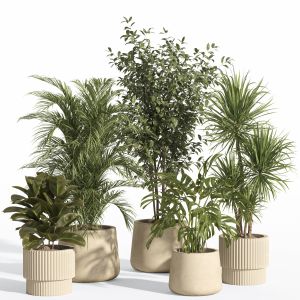 Indoor Plant Set 63- Concrete And Ceramic