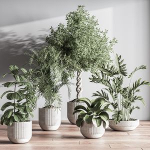 Indoorsetplant050