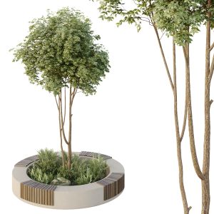 Hq Urban Environment Set Of Green Plant Benches 09