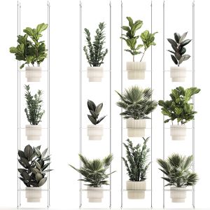 Shelf Hanging Pot Zamioculcas Ficus Fan Palm