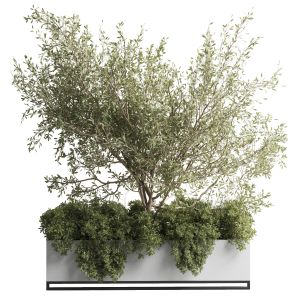 Concrete Box Plants On Stand  Indoor Plant Set 432