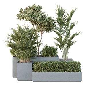 Hq Tree And Bush Garden Box Outdoor  Vol 28