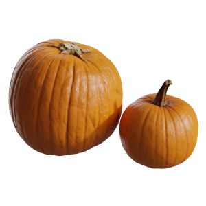 Pumpkins Collection 03