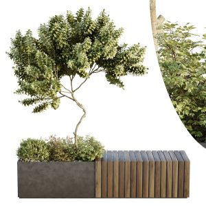 Hq Urban Environment Set Of Green Plant Benches 11