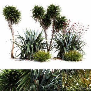 Oceania Plant Set