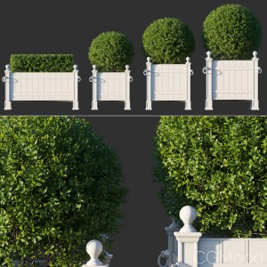 Boxwood In Rh Versailles Panel Planters