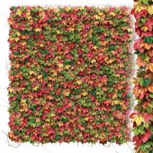 Decorative Wall Of Autumn Grape Leaves