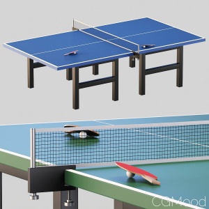 Tennis Table