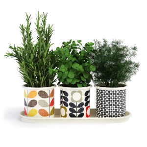 Kitchen Herbs In Pots Orla Kiely