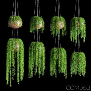 Potted Hanging Plants 8 models