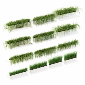 Grass For The Shelves. 13 V2 Models