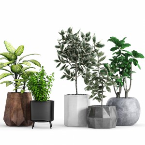 Plants And Planters 12