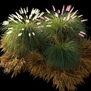 Decor Grass