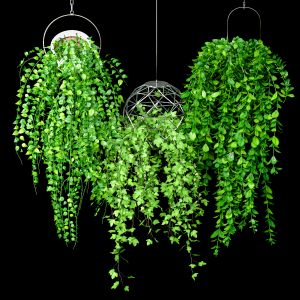 Hanging Plant Pot Set 2