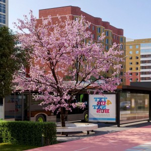 Bench With Sakura