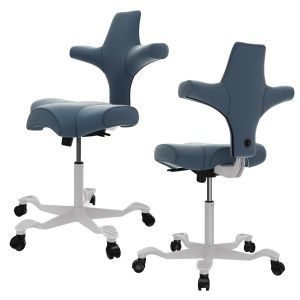 Office Chair Hag Capisco 8106