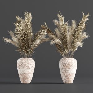 Indoor Plants 11 - Pampas Set In Concrete Pots