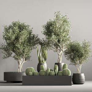 Indoor Plant Stand 36