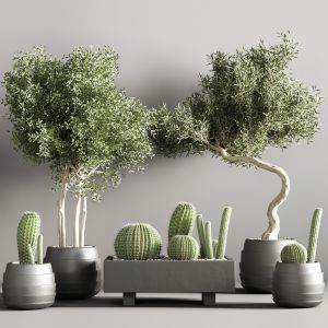 Indoor Plant Stand 37