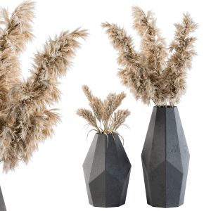 Dry Plants 24 - Pampas With Polygonal Vase