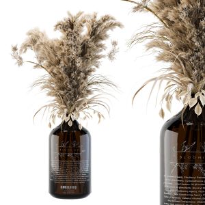 Dry Plants 27 - Pampas In Glass Vase