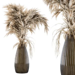 Dry Plants 29 - Pampas With Cylinder Glass Vase