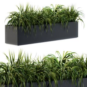 Ranch Grass Plants In Box - Outdoor Set 63