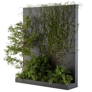 Outdoor Green Wall With Garden Ivy