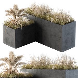 Outdoor Concrete Plant Box With Cereals And Dried