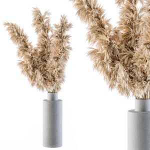 Dry Plants 31 - Tall Pampas In Concrete Vase