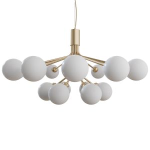 Apiales 18 Chandelier By Nuura