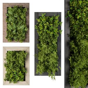 Vertical Garden 3 Type Frame - Wall Decor