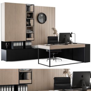 Office Furniture - Manager Set 11