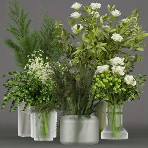 Collection Plant Vol 268 - Bouquet - Flower - Pine