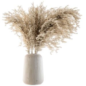 Dry Plants 36 - Dried Plant Pampas