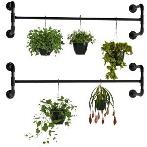 Hanging Plants 5