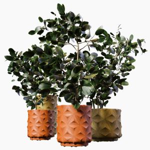 Plant-pot06