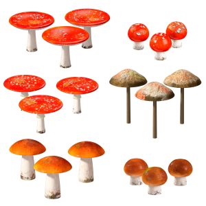 Mushrooms Set