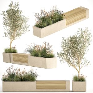 Bushes For Landscaping And Urban Environments