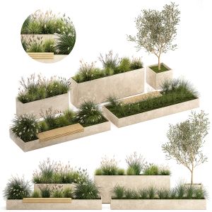 Bushes For Landscaping And Urban Environments 1141