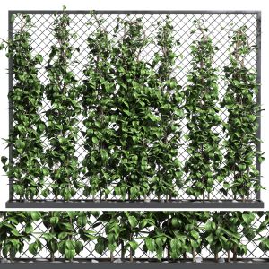 Fence And Ivy Outdoor Plant Metal Vase 01