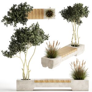 Bushes For Landscaping And Urban Environments